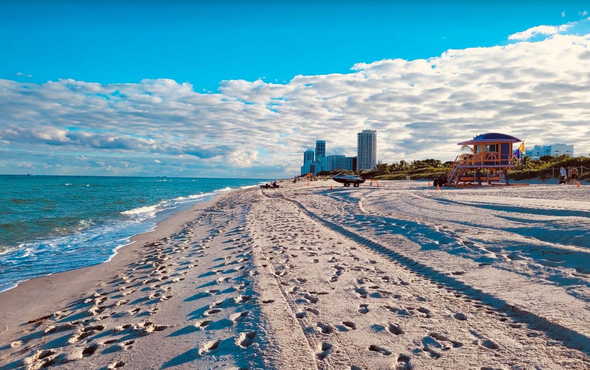 Steps To Sea Miami Beach Free Parking Pet & Family Friendly Lejlighed Eksteriør billede